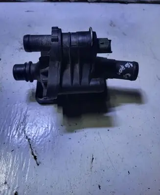 Thermostat/thermostat housing