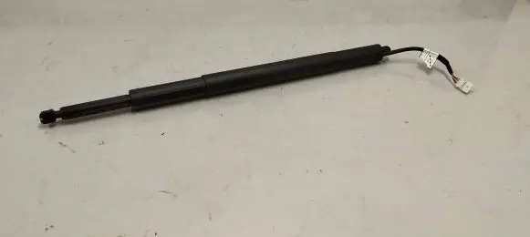 Tailgate strut
