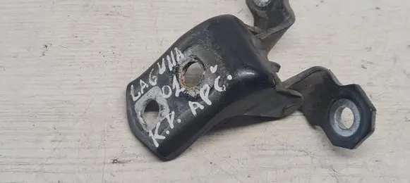 Renault Laguna II Front door lower hinge 