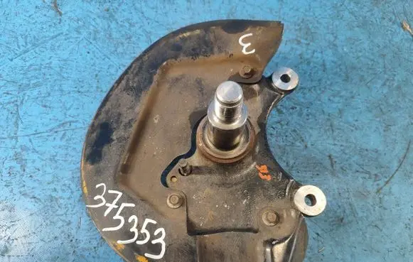 Ford Mustang VI Rear wheel hub spindle/knuckle FR3Z3106A