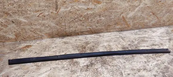 Infiniti G37 Rubber seal front coupe door 
