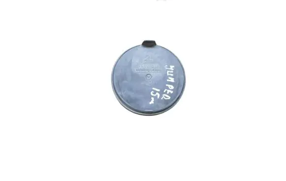 Citroen Jumper Headlight/headlamp dust cover 20001509