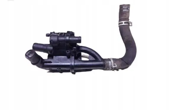 Thermostat/thermostat housing