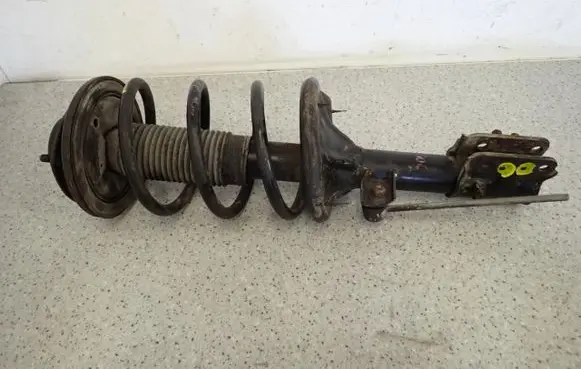 Hyundai Santa Fe Front shock absorber with coil spring 