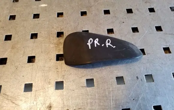 Fender trim (molding)