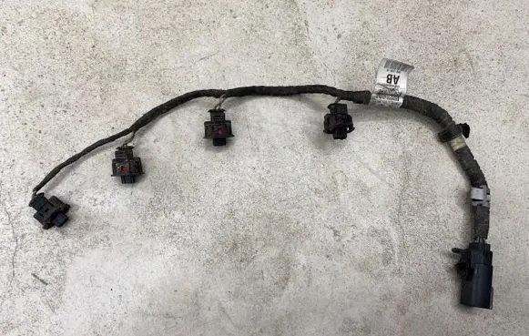Ford C-MAX II Fuel injector wires BM5G9F666AB A12409355 A12436167