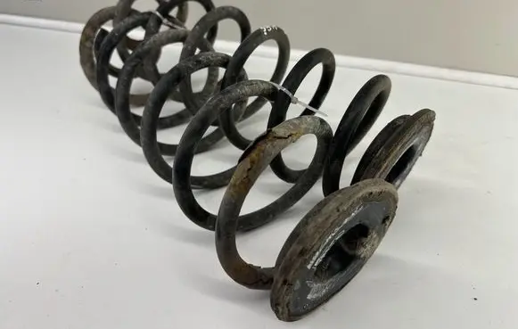 Rear coil spring