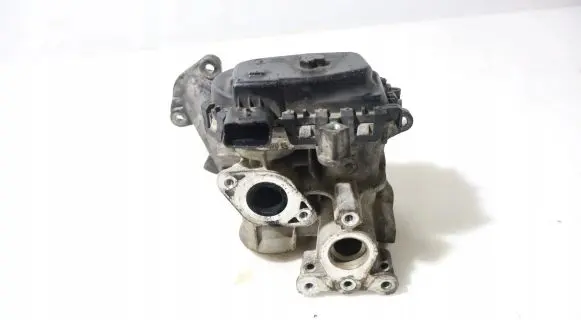 Citroen Berlingo EGR valve
