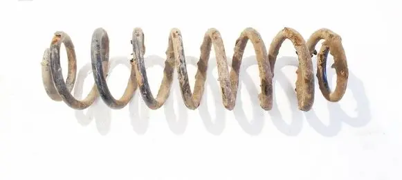 Rear coil spring