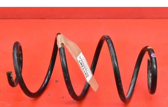 Dacia Dokker Rear coil spring 