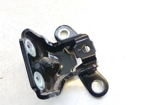 KIA EV6 Rear door lower hinge