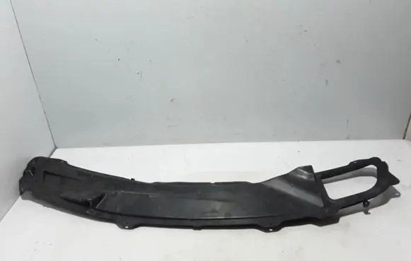 Engine bonnet/hood lock trim molding