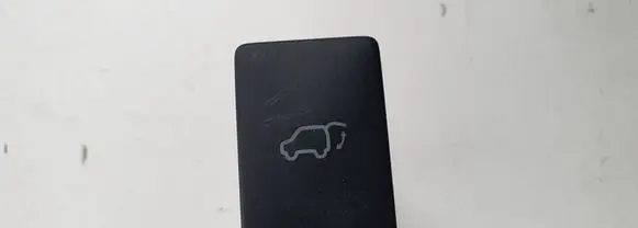 Toyota RAV 4 (XA40) Tailgate opening switch 