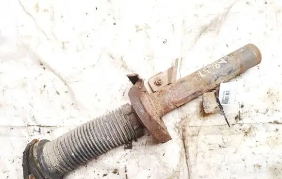 Ford Focus Front shock absorber/damper