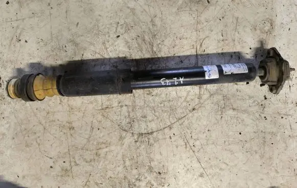 BMW X1 E84 Rear shock absorber/damper 814903010073 313933