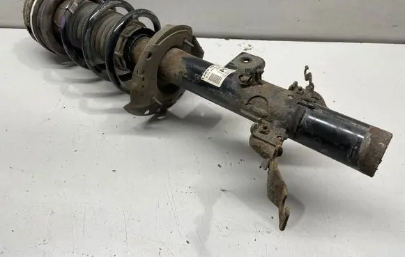 Land Rover Evoque I Rear shock absorber/damper BJ3218K004AE