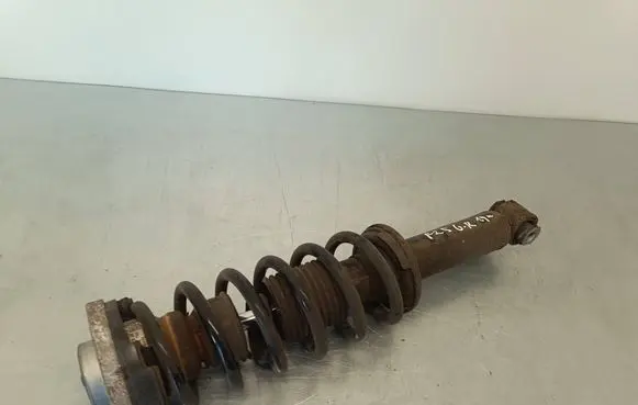 BMW X3 F25 Rear shock absorber with coil spring 