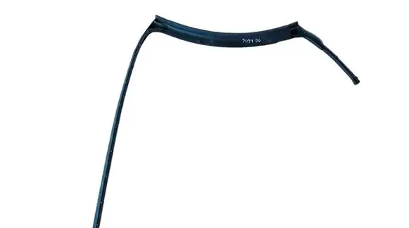 Mini Clubman F54 Rubber seal rear door 7344157