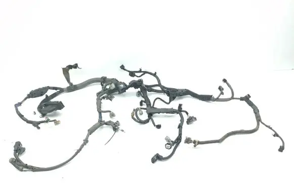 Toyota Prius (XW30) Engine installation wiring loom