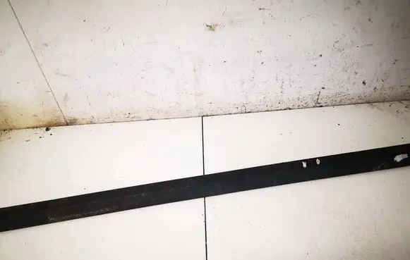 Volvo V50 Front door trim (molding) 30661448
