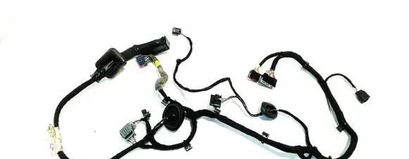 Front door wiring loom