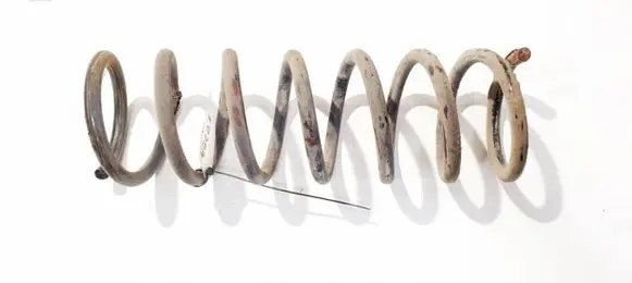 Rear coil spring