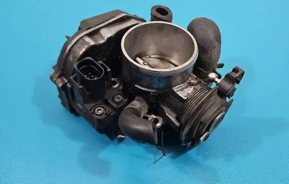 Throttle body valve