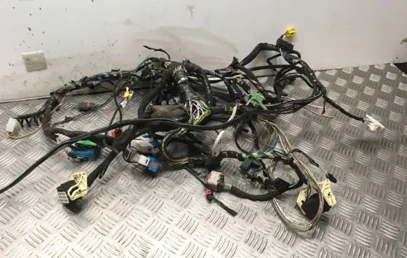 Ford Focus Other wiring loom BV6T19A657