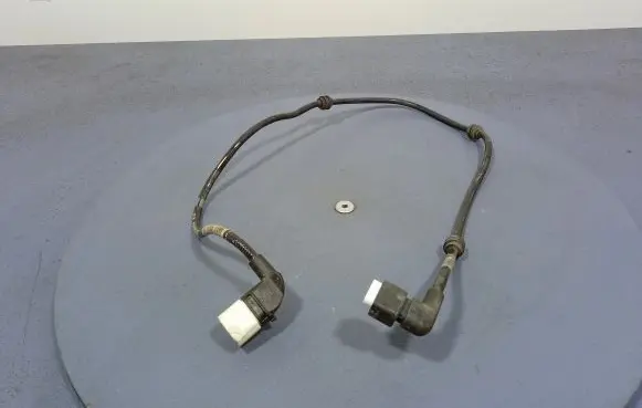 Mercedes-Benz AMG GT R190 C190 Other wiring loom A2905400506