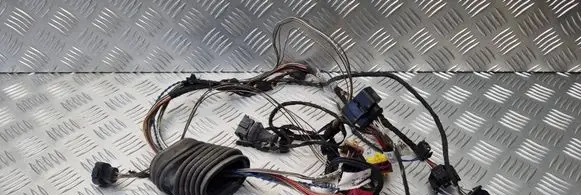 Audi A4 S4 B5 8D Front door wiring loom 8D1971663AM