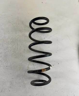 Rear coil spring