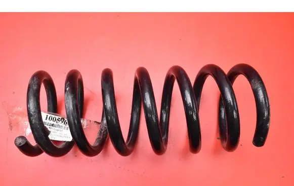 Rear coil spring