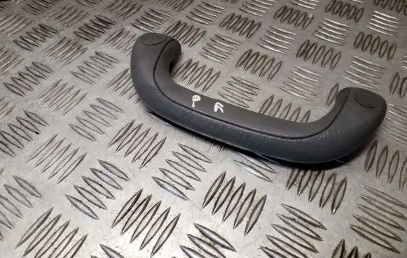 Hyundai Terracan Front interior roof grab handle