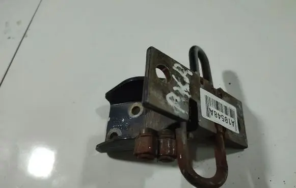 Rear door lower hinge