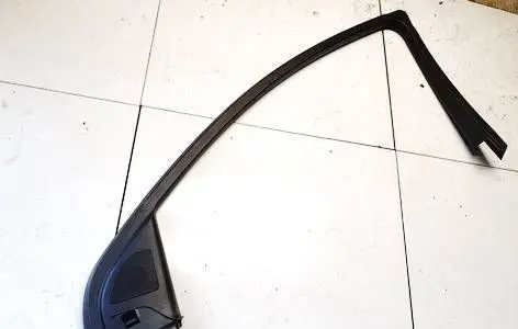 Other front door trim element
