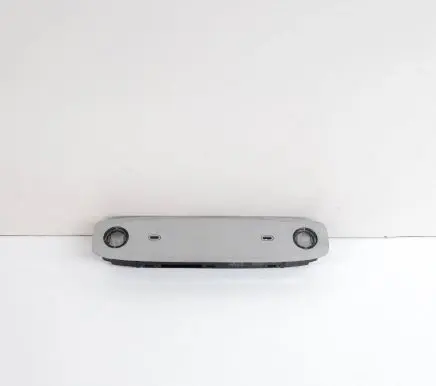 Tesla Model 3 Front seat light 109257400C