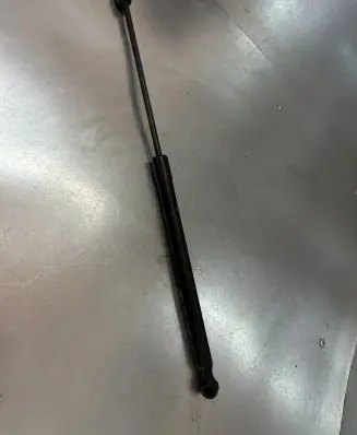 Tailgate strut