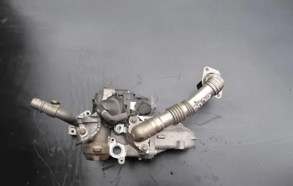 Peugeot 2008 I EGR valve 50563908 3282429033