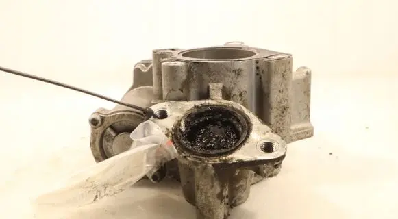 Renault Laguna III EGR valve A2C53412016