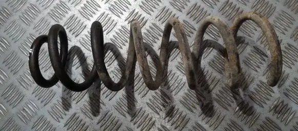 Peugeot 406 Rear coil spring