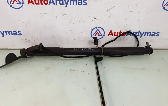 Tailgate/trunk strut/damper