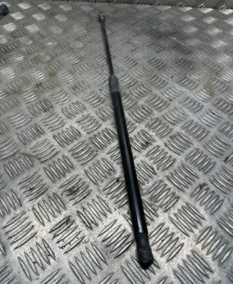 BMW X1 E84 Tailgate/trunk strut/damper 0163930460N 51242990