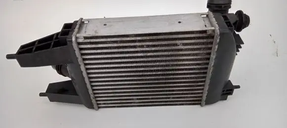 Nissan Juke I F15 Intercooler radiator