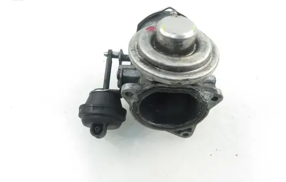 Seat Alhambra (Mk1) EGR valve 038129637L 038131501AL