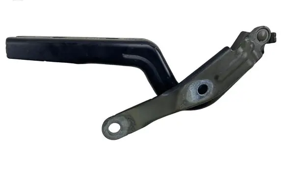 Volkswagen ID.4 Engine bonnet/hood hinges 11A823301