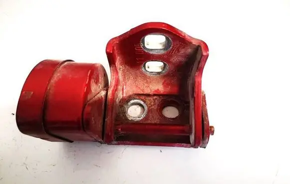 Rear door lower hinge