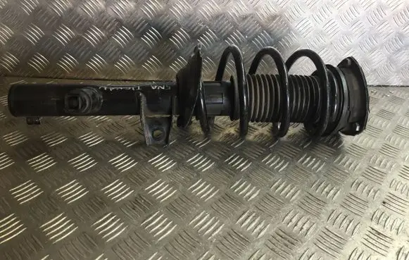 Volkswagen Tiguan Front shock absorber/damper 