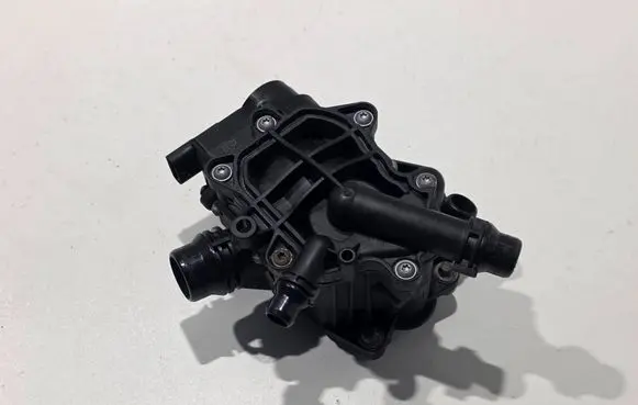 Thermostat/thermostat housing