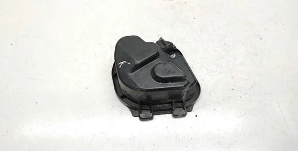 Headlight/headlamp dust cover