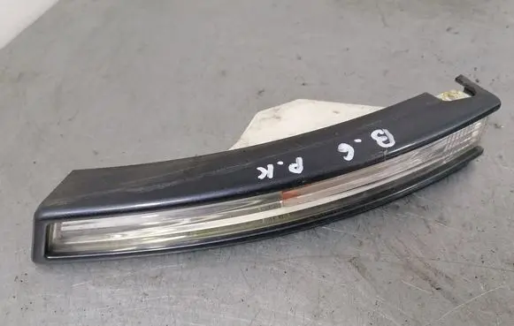 Volkswagen PASSAT B6 Front indicator light 3C09530411L